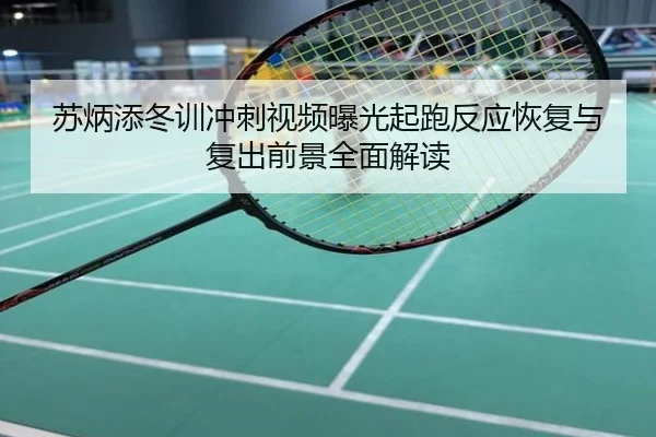 苏炳添冬训冲刺视频曝光起跑反应恢复与复出前景全面解读